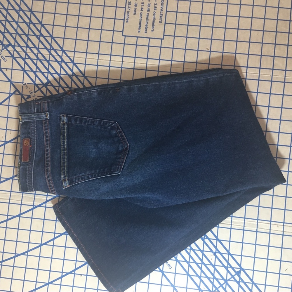 Size 28 Adriano Goldschmied the rider jeans EUC
